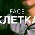 Face Клетка под гитару