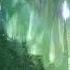 Chopin Mysterious Forest