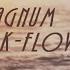 Dj MaGnUm Feat K Flow Heartless Beatings Radio Edit