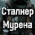 Сталкер Мурена Книги по сталкеру даблган сталкер Stalker Doublegun сидорович лунь хип зона