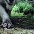 Techno Wolf 2 Song BEST Remix NEW REMIX BEST NEW TECHNO