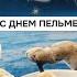 История пельменей