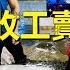 基隆崁仔頂 明天休市給你甜甜價 打完收工賣光光 赤鱆 白鯧 冬鏡 午仔白 盤仔 鮮蚵仔 元源魚行拍賣 113 10 27