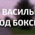 Олег Васильков Этот город Бокситогорск