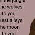 Selena Gomez Marshmello Wolves Lyrics