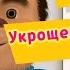 Барбоскины 87 Серия Укрощение строптивой мультфильм