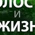 ГОЛОС и ЖИЗНЬ Выпуск 7 цикл прямых эфиров