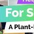 Kelly S Plant Based Pantry Must Haves Found On PlantX Com