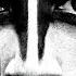 Lords Of Chaos OFFICIAL TRAILER HD 2019