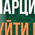 Зависимость от нарцисса Как бросить нарцисса и не вернуться