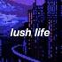 Lush Life Zara Larsson Slow Reverb