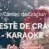 Poveste De Craciun Karaoke