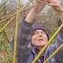 A New Willow Den Is Growing In Sam S Wood