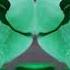 Preview 2 Crazy Dude Axel W Effects Preview 2 Superkino Intro 2024 Effects