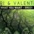 Andri Valentino What You Want Feat L T Brown Original Mix Sirion Records