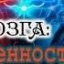 ВЫНОС МОЗГА 4 Двойственность сознания 05 08 2017 Савельев С В