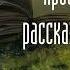 Аудиокнига Олег Гор Просветленные рассказывают сказки часть 6