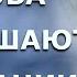 Как повышать свои вибрации и быть счастливым