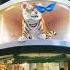 3d Led Billboard Technology Amazing Moderntechnology Digitalworld Shorts