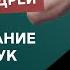 Мануально мышечное тестирование миофасциальных цепей рук Максимов Андрей