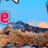 Ya Rasool Status By Ringtone A Rahman Amini
