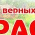 Караоке С чего начинается Родина Русская Военная Песня Марк Беренс