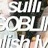 Goblin Sulli English Lyrics