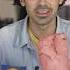 Tasting Rare Sweets Ft Joe Jonas