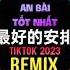 En 最好的安排 深情版 DJ抖音版 2023 Sự An Bài Tốt Nhất Remix Tiktok Bản Nam Tình Cảm Hot Tiktok Douyin