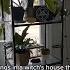 Things In A Witch S House That Just Make Sense Shorts Witchcraft Witchtok