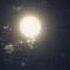 Talking To The Moon Slowed Reverb