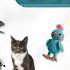 CAT Games Ultimate Cat TV Compilation Vol 150 8 ЧАСОВ