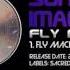 Sonic Species Imagine Mars Fly Machine