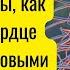 Простые но эффективные советы как сохранить сердце и сосуды здоровыми