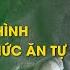 Độc đáo Mô Hình Nuôi Lợn Từ Thức ăn Tự Nhiên Có Bổ Sung Nguyên Liệu Chè Xanh Thái Nguyên TV