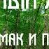 Флейта Североамериканских Индейцев Пимак Дух Леса Этническая музыка