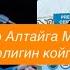 Айтыш 2025 Нурсултан Малдыбаев Рүстөм Кайыртай кыргыз казак айтышы