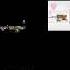 Up To Faster Parison Союзмультфильм Мультфильмы для взрослых