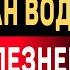 Доктор Хироми Шинья У ВСЕХ БОЛЕЗНЕЙ ЕСТЬ ОДНА ПРИЧИНА И ЕЁ МОЖНО УСТРАНИТЬ