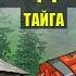 ДИНАМИТ и ЗОЛОТО в ТАЙГЕ СХРОН ПОПАДАНЦЫ ФАНТАСТИКА СУДЬБА в ЛЕСУ ИСТОРИИ из ЖИЗНИ СЕРИАЛ 8