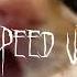 Лизогуб Давид Симка Милана учат в школе Speed Up