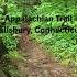 Hiking The Appalachian Trail Ambient Electronic Music Music Hiking Nature Art Modularsynth