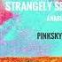 Strangely Sentimental Anabel Englund Pinksky House Remix