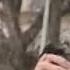 Güçlü Soydemir Göçmen Kuşlar İlahisi Official Video Klip
