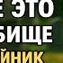 Никогда не делайте это на кладбище Главные ошибки которые приводят к бедам болезням и смерти