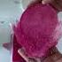 This Comes Out So Beautiful Craft Resin Resinart Resinartist Decorative Glitter Mirror