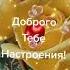 А я люблю другую