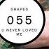 Shapes U Never Loved Me Original Mix