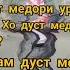 Мастер Сиёвуш 1