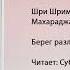 Берег разлуки Шри Шриман Гоур Говинда Свами Махараджа